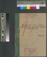 Sprawozdania Głównego Urzędu Statystycznego dotyczące działalności internatów szkolnych w latach 1953-1954